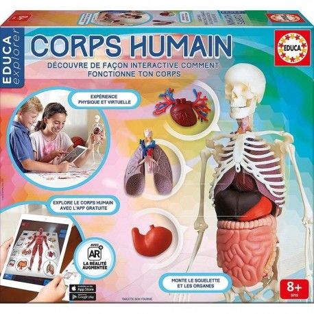 corps humain jeux educatifs